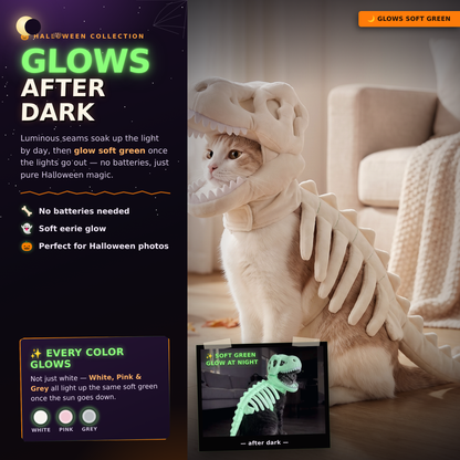 Glow in the Dark Dinosaur Skeleton Costume for Cats & Dogs
